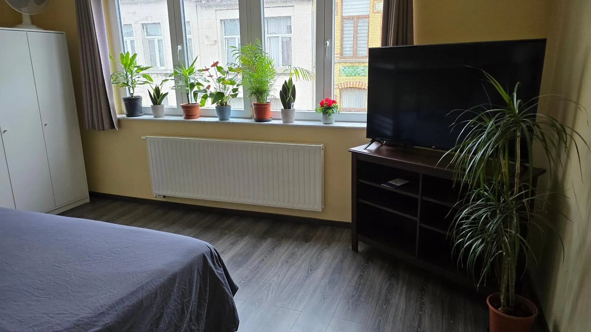 Right Choice Studio Antwerp Apartment