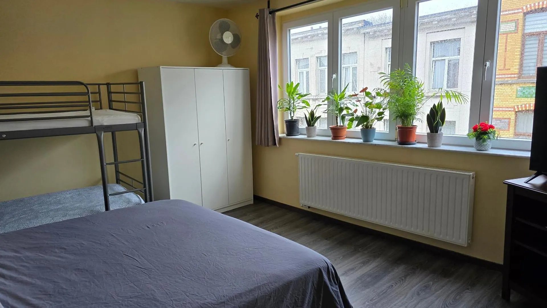 Right Choice Studio Antwerp Apartment